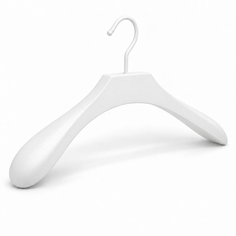 Image 1 : 10 hangers white, white hook ...