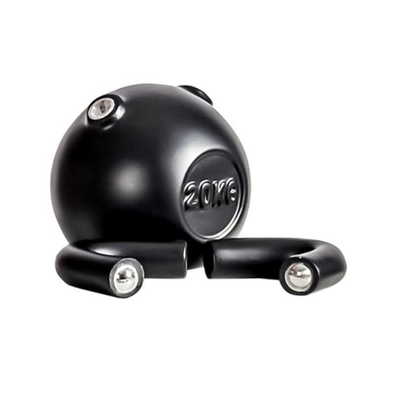 Image 1 : 20 kg dummy dumbbell for ...