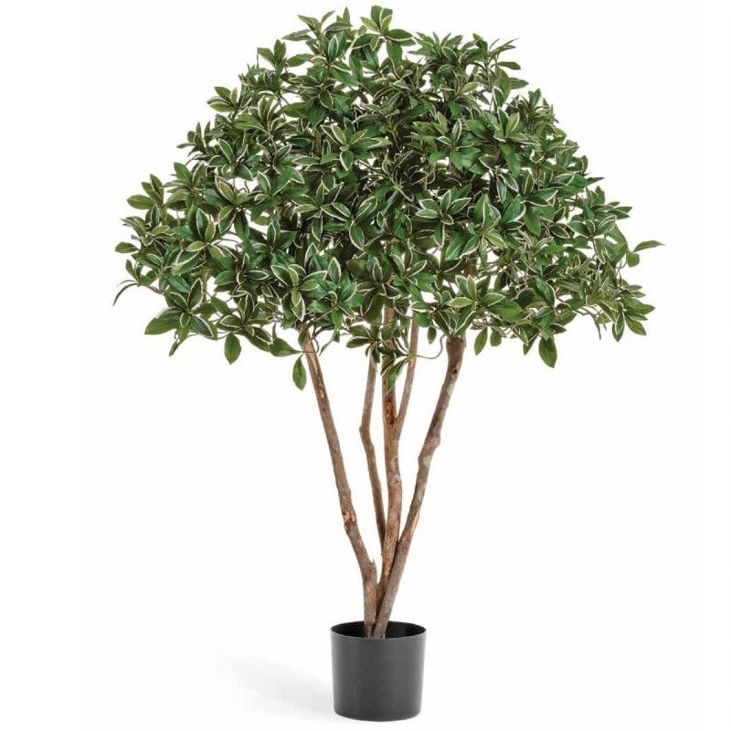 Cette plante artificielle Euonymus Japonicus de 120 cm est id ... Plante artificielle Euonymus Japonicus 120 cm : Mobilier shopping
