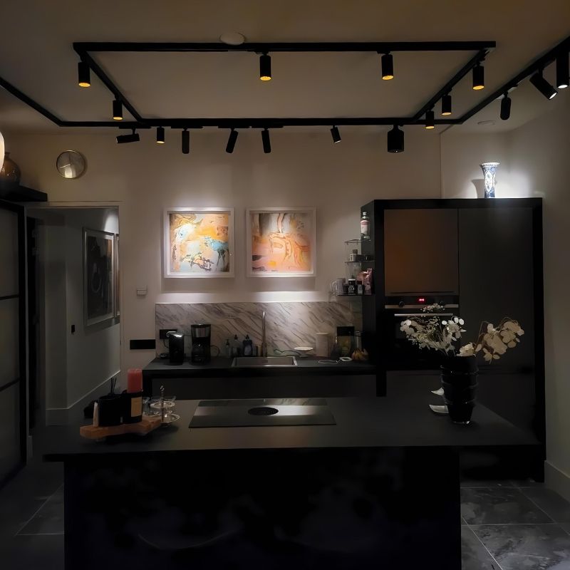 Black led spot for retail lighting