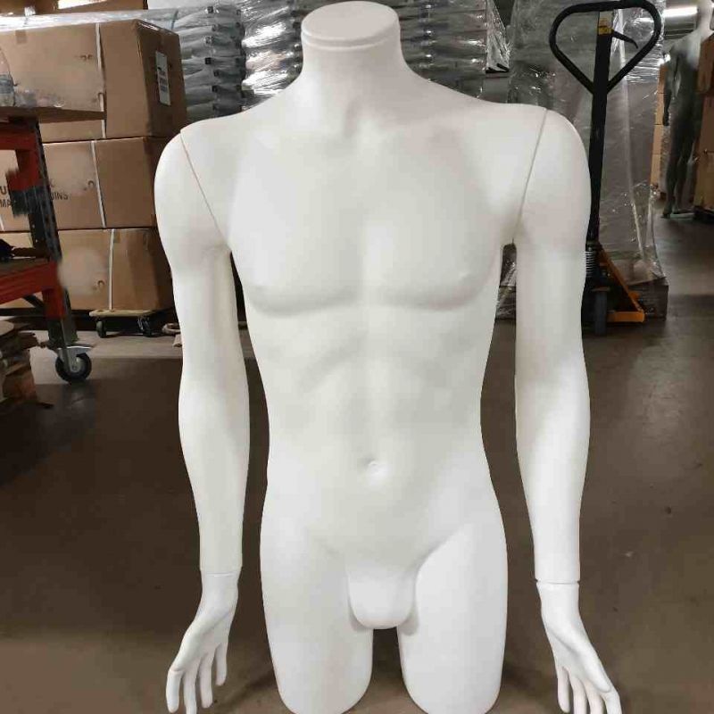 Image 1 : Buste homme en plastique blanc ...