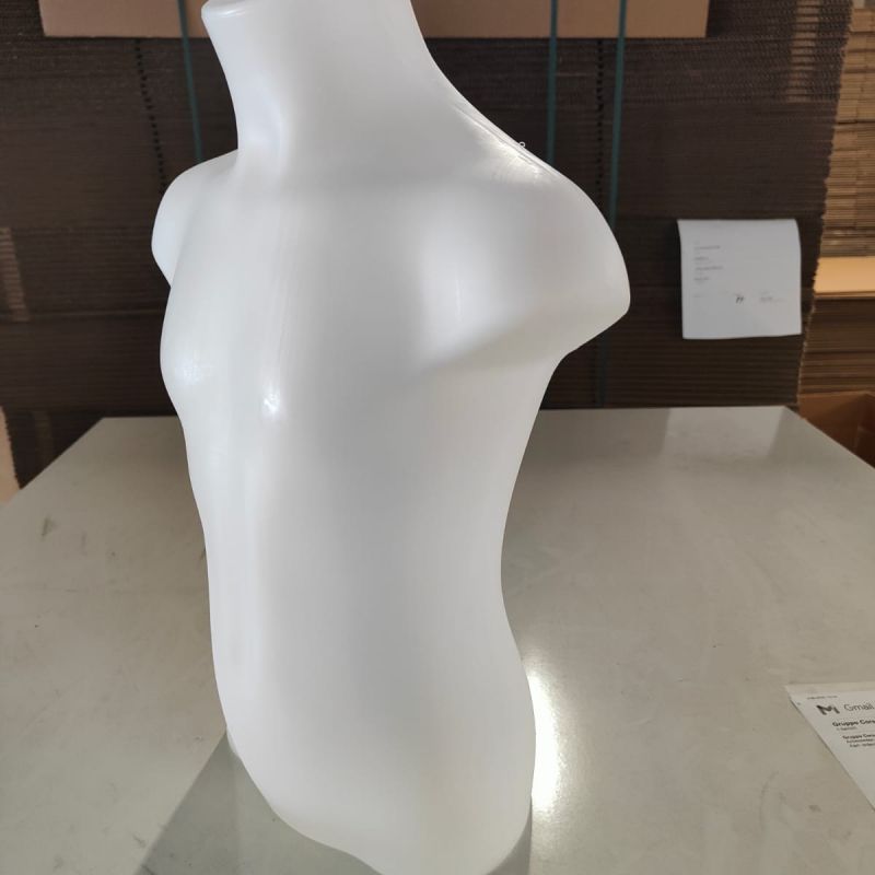 Image 1 : Busto di plastica per bambini ...