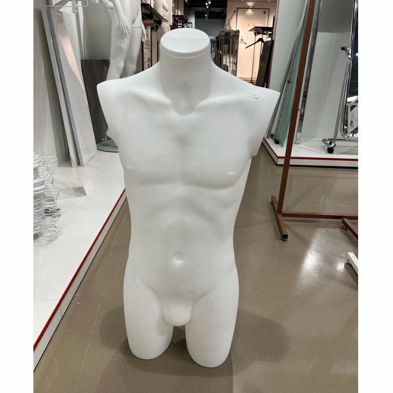 Image 1 : busti de plastico bianco uomo ...