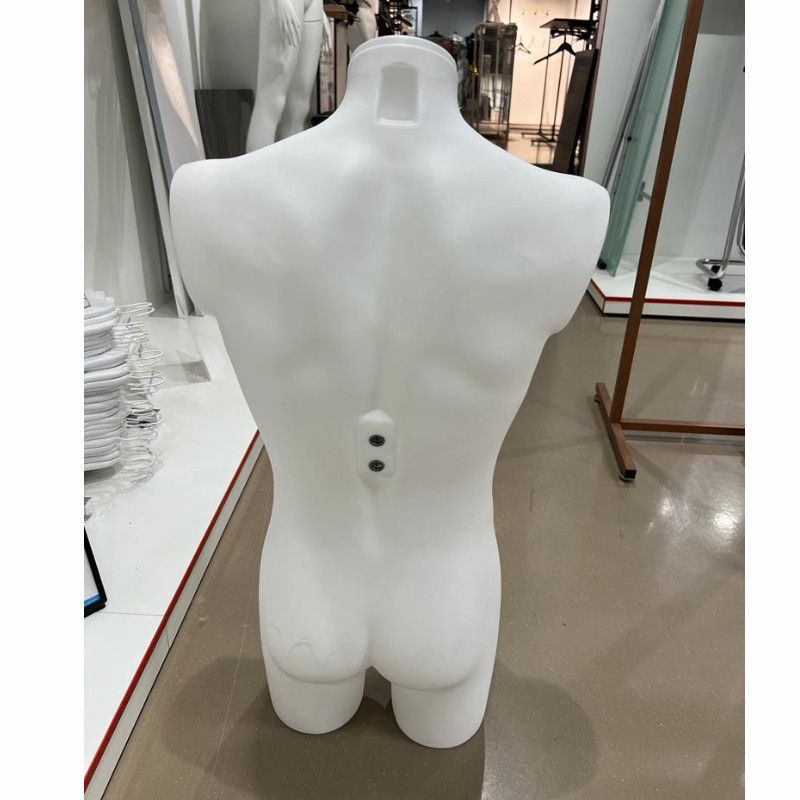 Image 2 : bustos hombres en plastico con ...