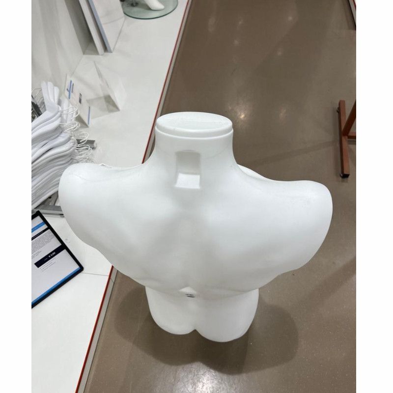 Image 3 : bustos hombres en plastico con ...