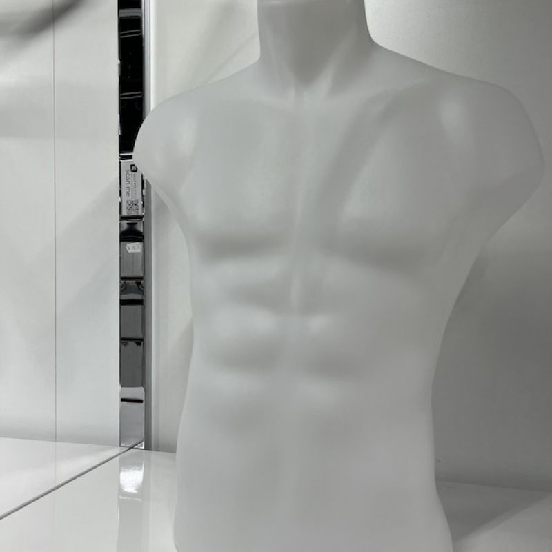 Image 2 : Busto de hombre de pl ...