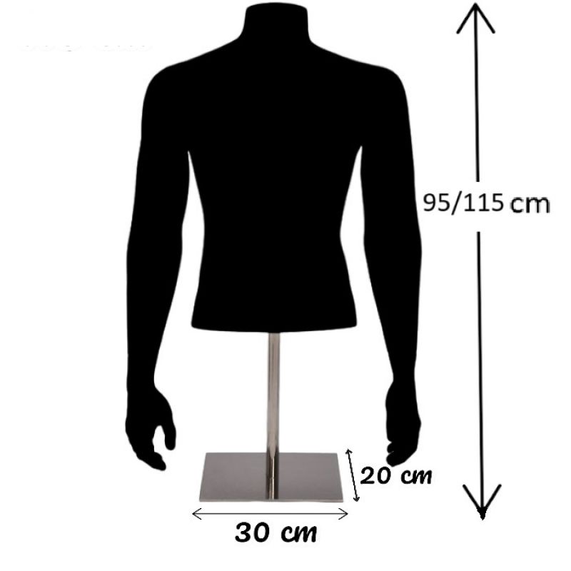 Image 5 : Busto de hombre blanco con ...