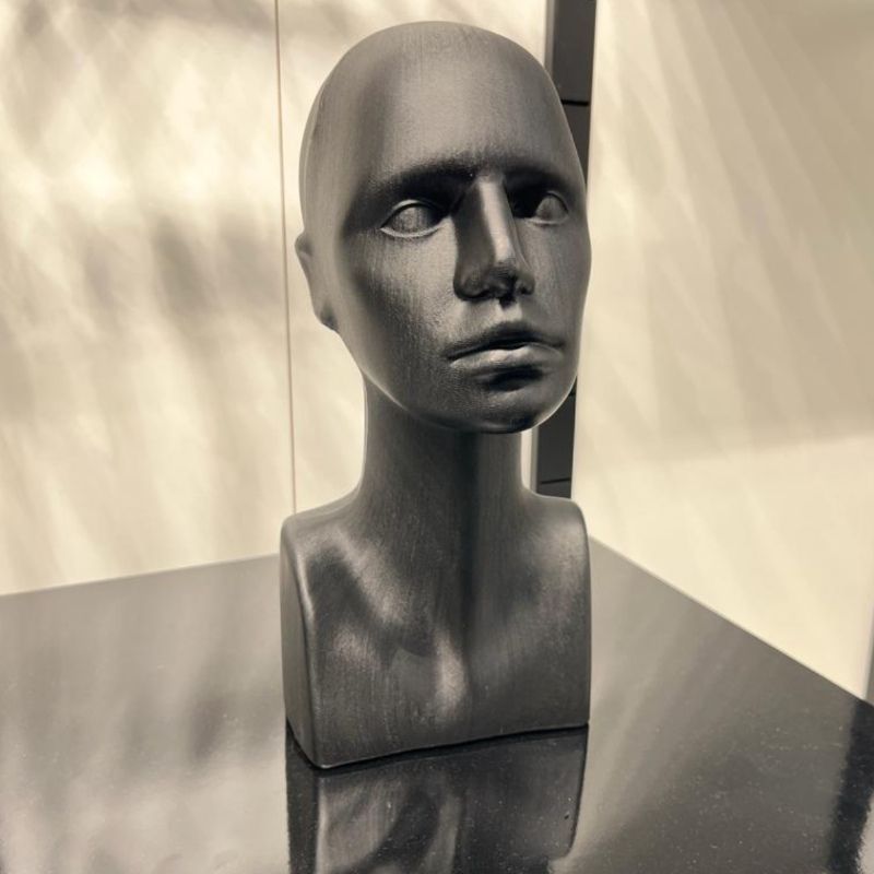 Image 1 : Cabeza de maniquí de ventana ...