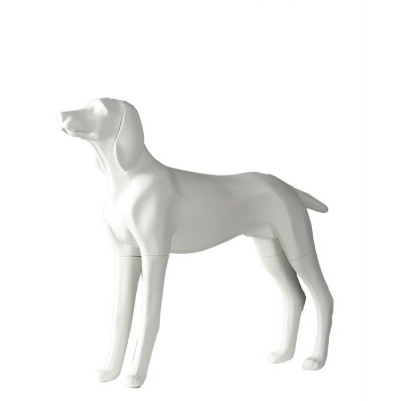 Image 5 : Mattweiße Hunde-Mannequin in ...