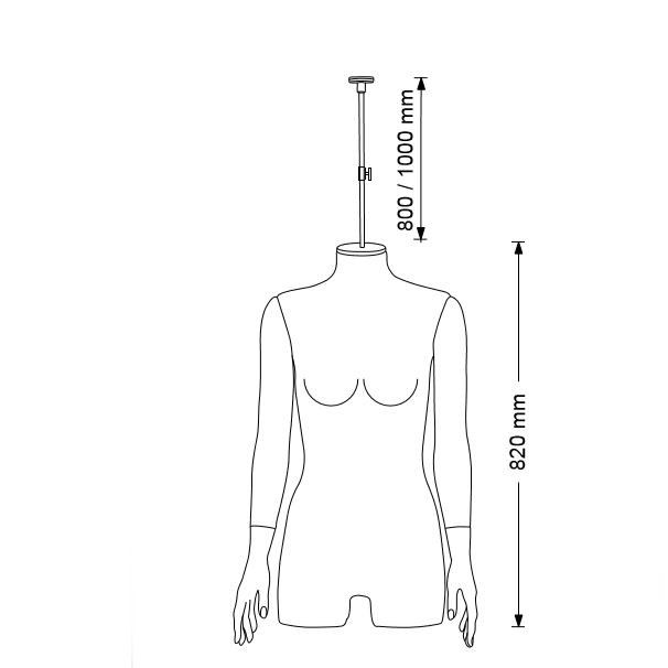 Image 1 : Hängende damen Damenbüsten ...