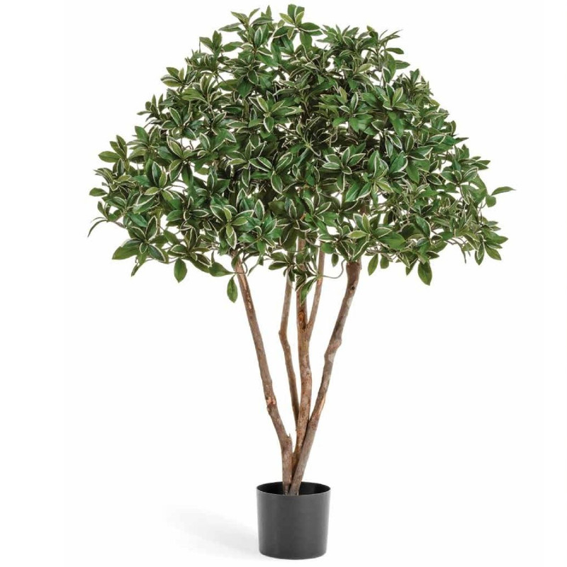 Kunstliche Euonymus Japonicus Pflanze 120 cm : Mobilier shopping