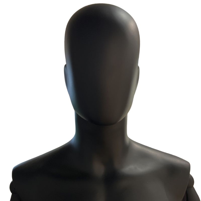 Image 5 : Half bust of male display ...
