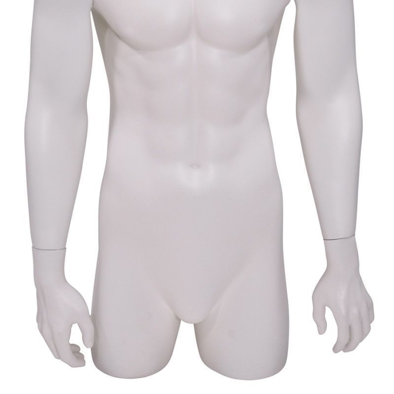 Image 1 : Male 3/4 torso mannequin ...