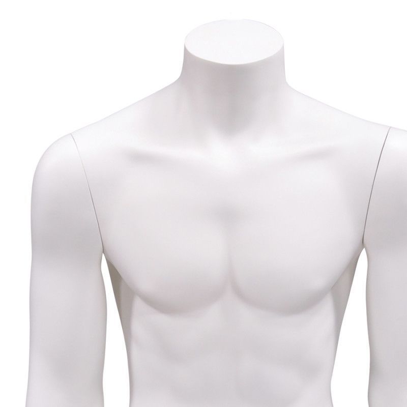 Image 2 : Male torso 3/4 mannequin ...