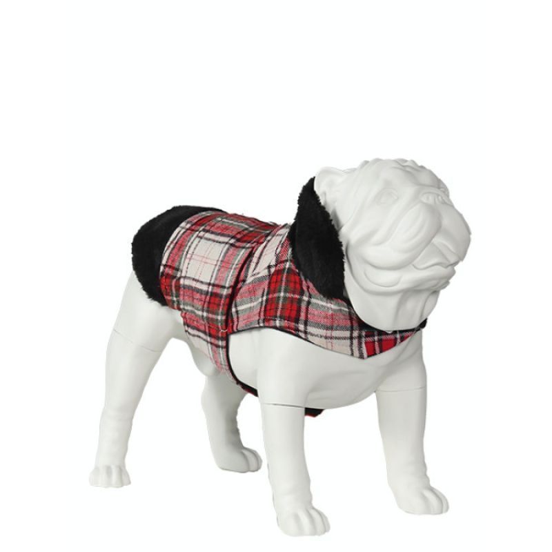 Image 3 : Modello di cane bulldog in ...