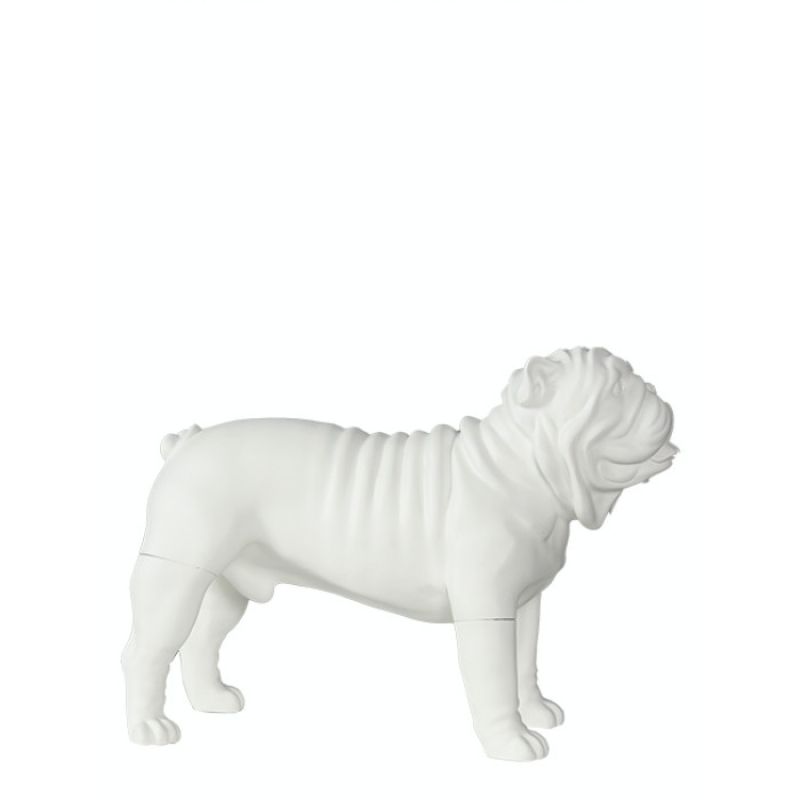 Image 5 : Modello di cane bulldog in ...
