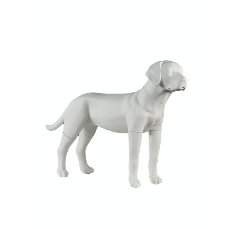 Image 5 : Manichino bianco opaco per cani ...