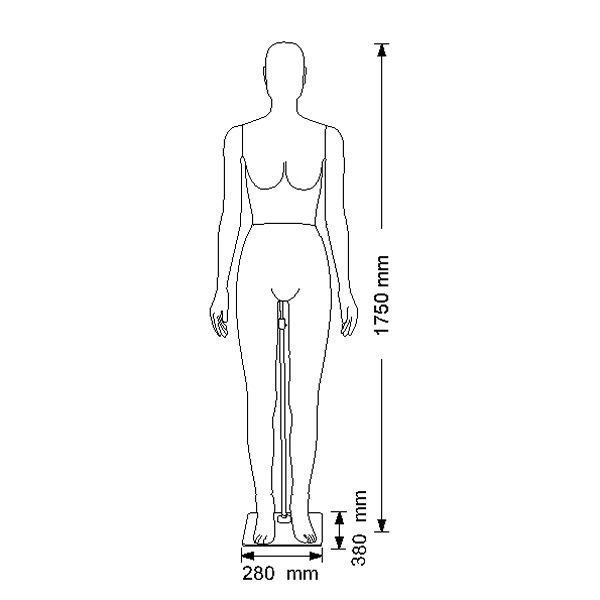 Image 4 : Maniquíes senora flexible en ...