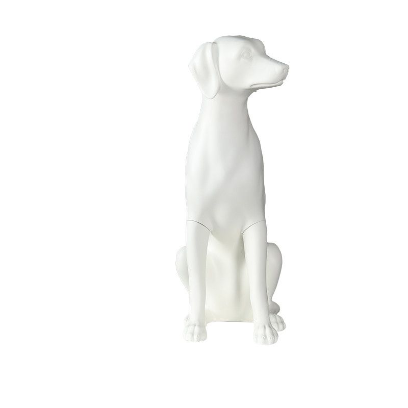 Image 1 : Modelo perro blanco, perfecto para ...