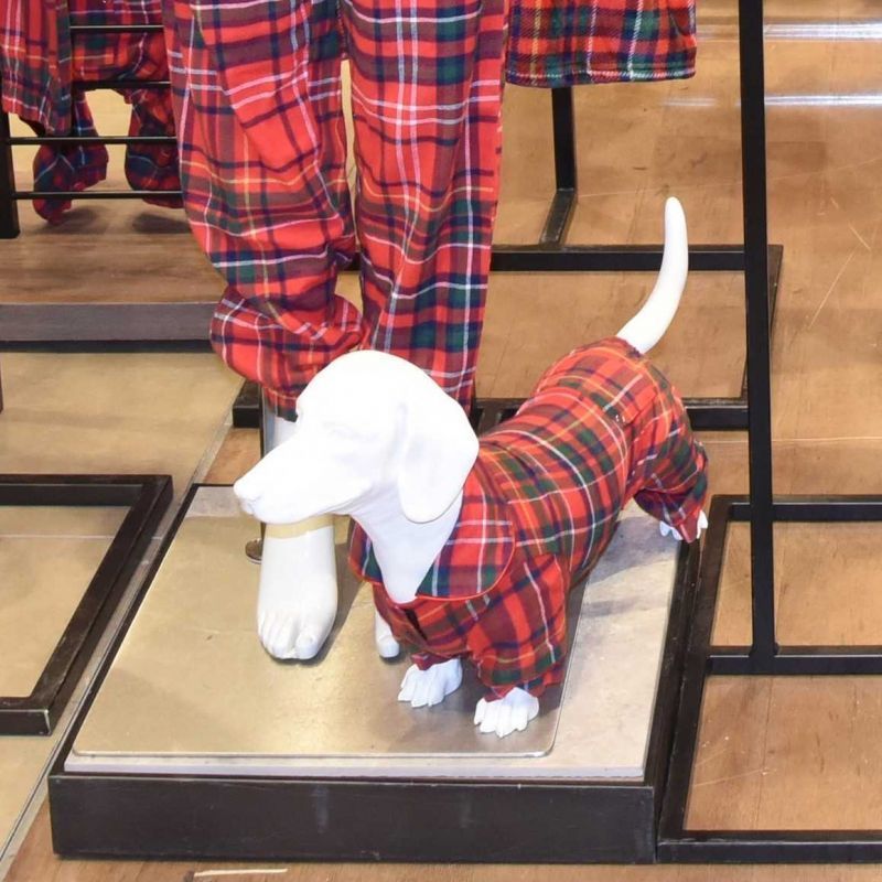 Image 2 : Mannequin chien Teckel en r ...
