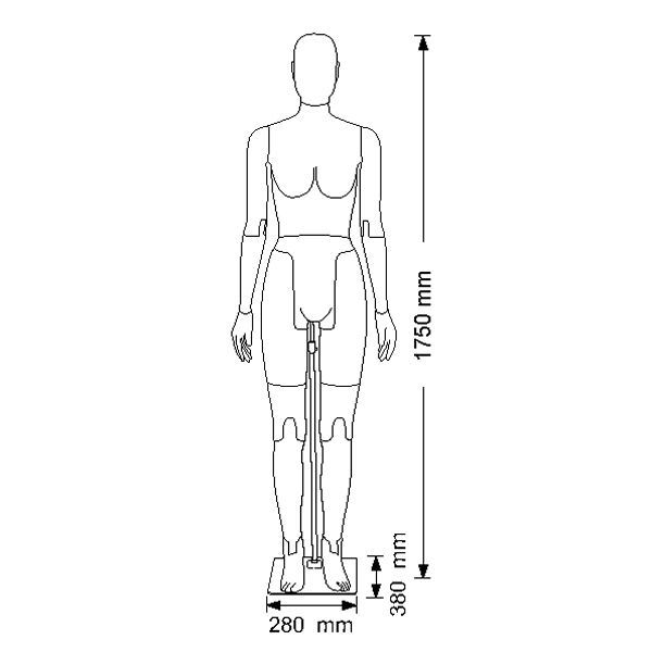 Image 1 : Mannequin de vitrine flexible en ...