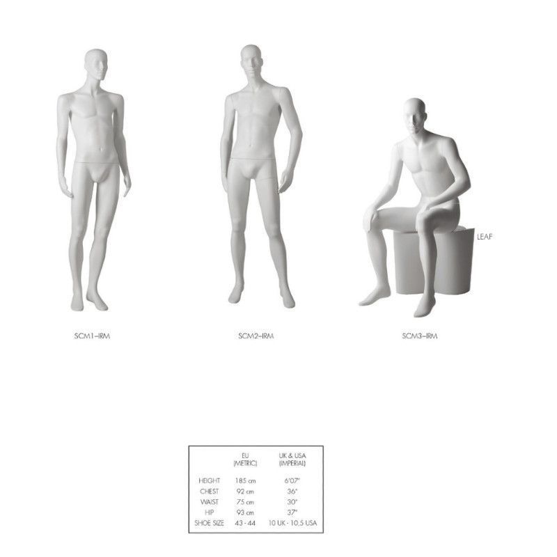 Image 1 : Mannequin de vitrine homme Style ...