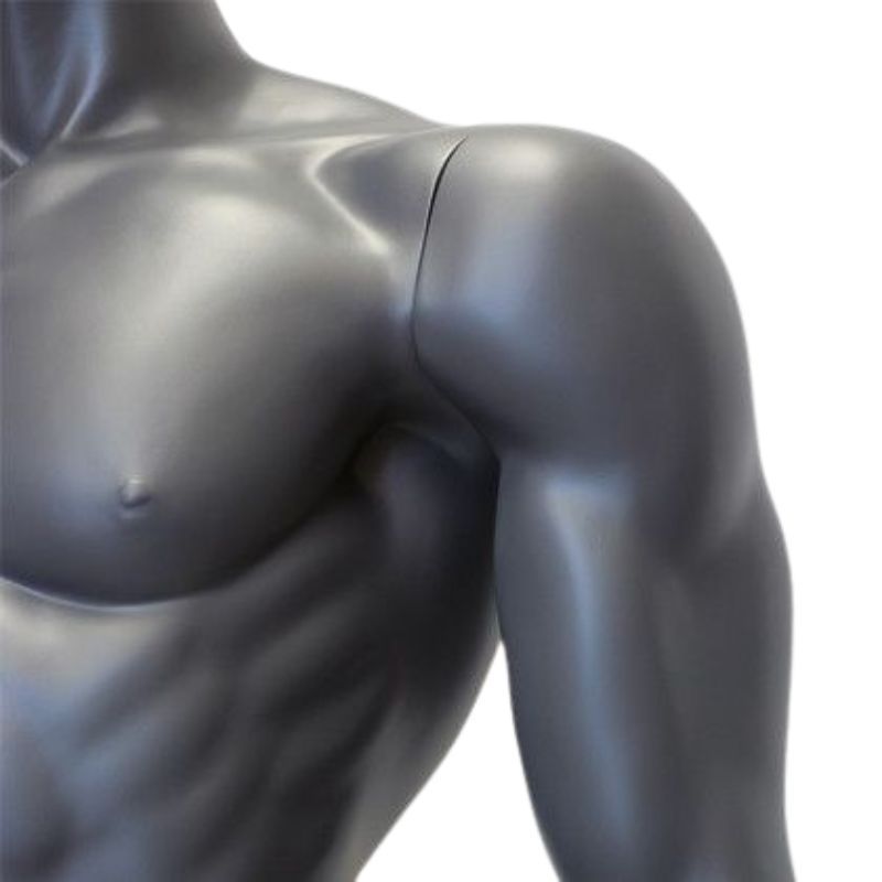 Image 2 : Mannequins sport homme avec bras ...