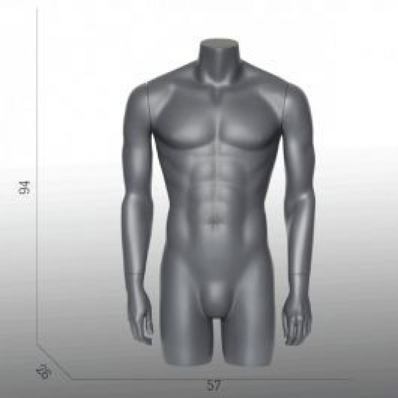 Image 1 : Torso mannequin man window -Grey ...