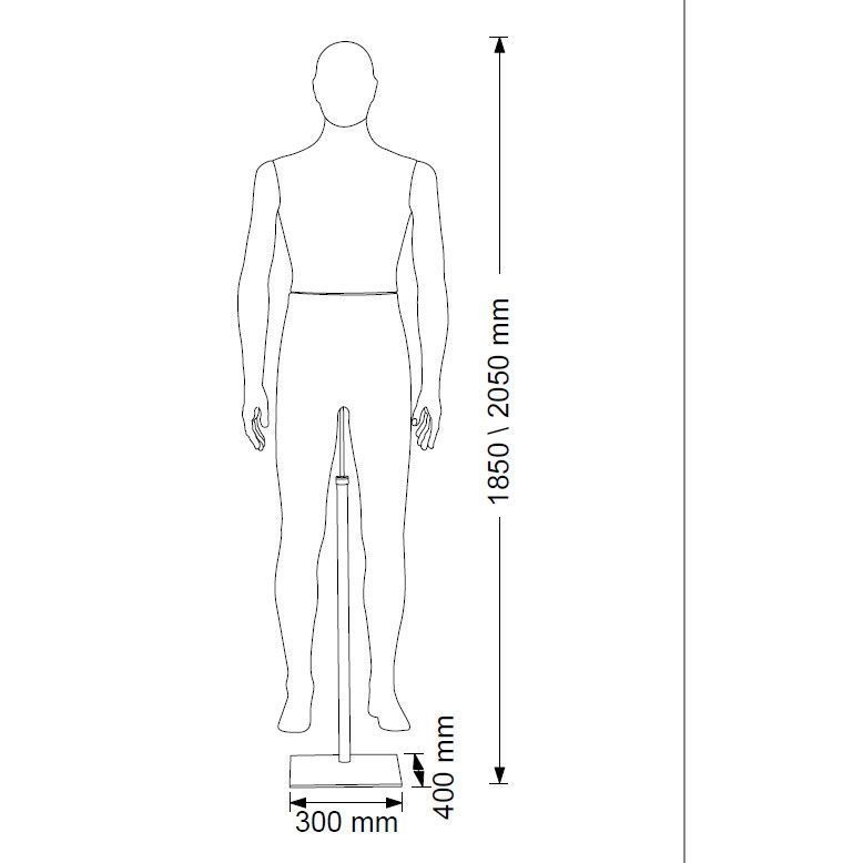 Image 3 : Mannequin vitrine homme avec t ...