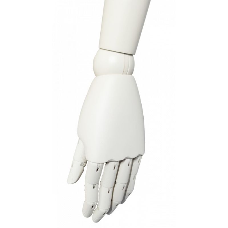 Image 4 : Männerbüste Stoff & Basis ...