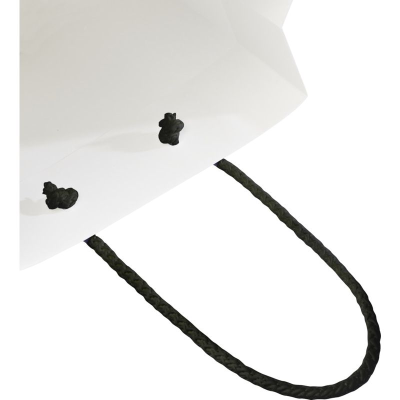 Image 4 : Paper bag 170g, plastic handles ...