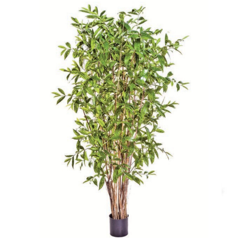 Plante artificielle Dracaena Surculosa 90 cm : Mobilier shopping