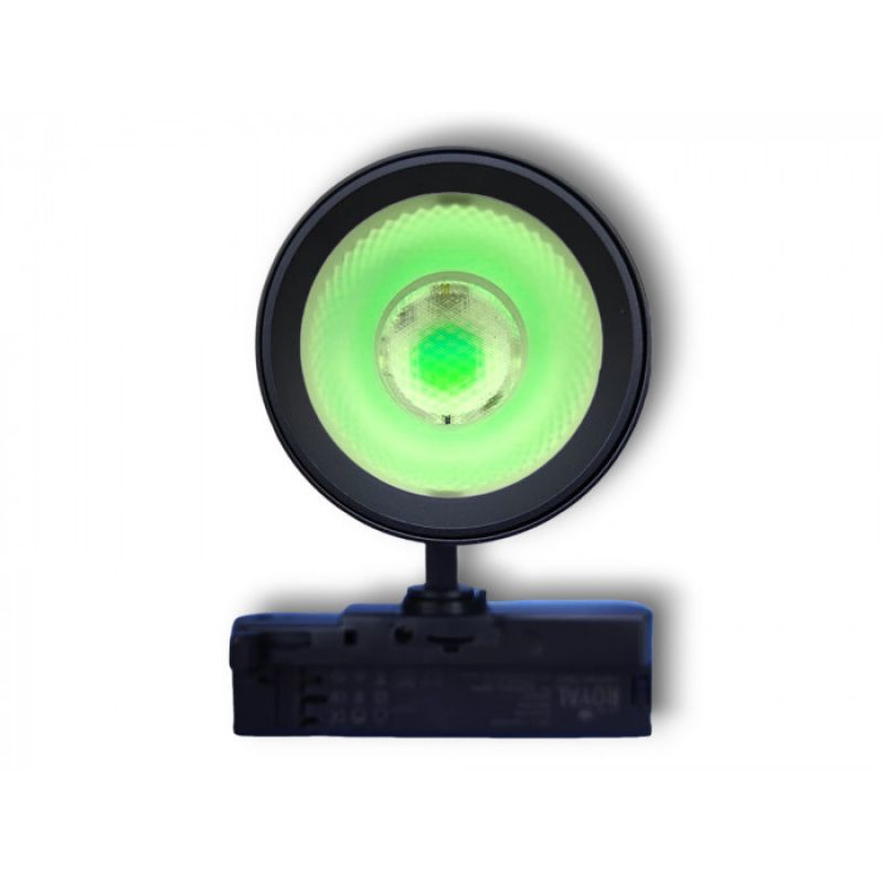 Schwarzer LED Strahler grunes Licht 30W : Eclairage