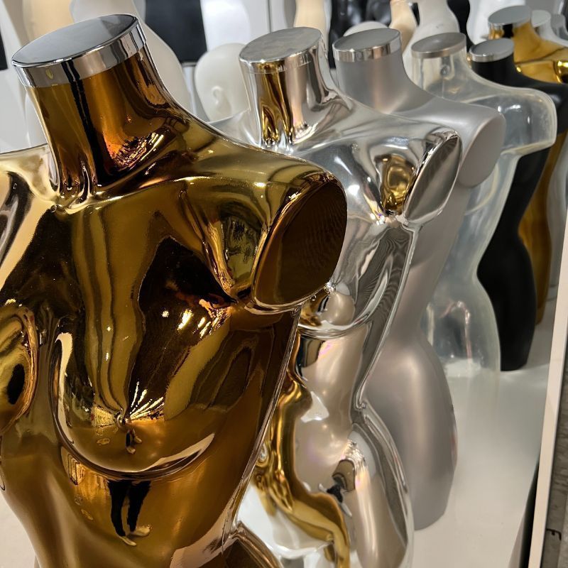 Image 3 :  Silver female plastic bust.