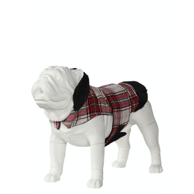 Image 2 : Bulldog dog model in standing ...