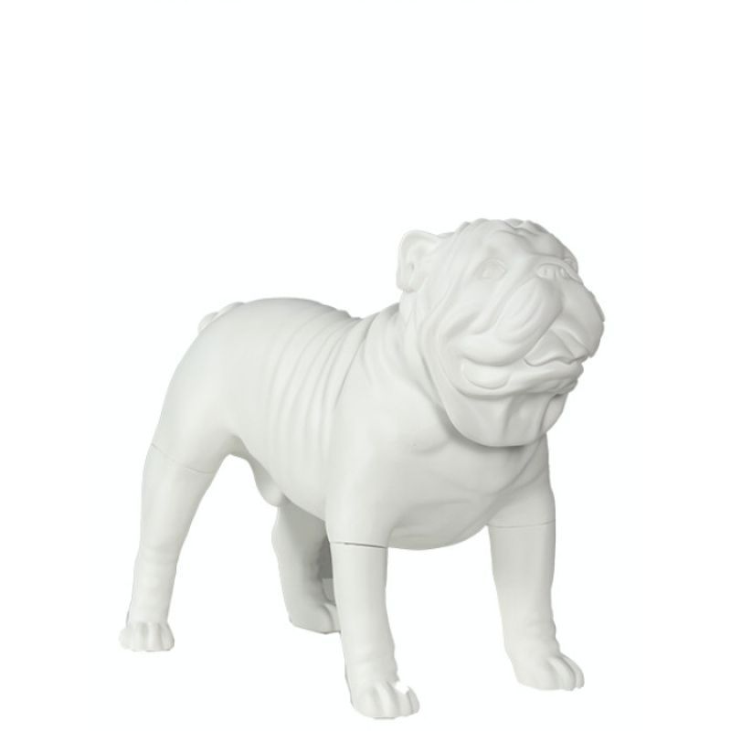 Image 6 : Bulldog dog model in standing ...