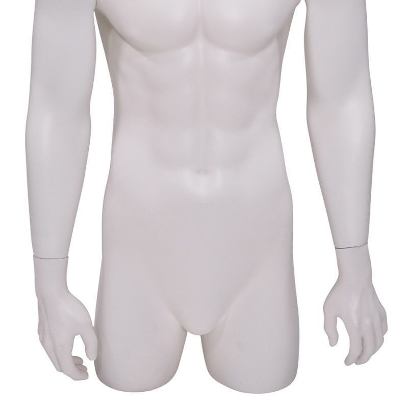 Image 1 : Torse 3/4 mannequin homme ...