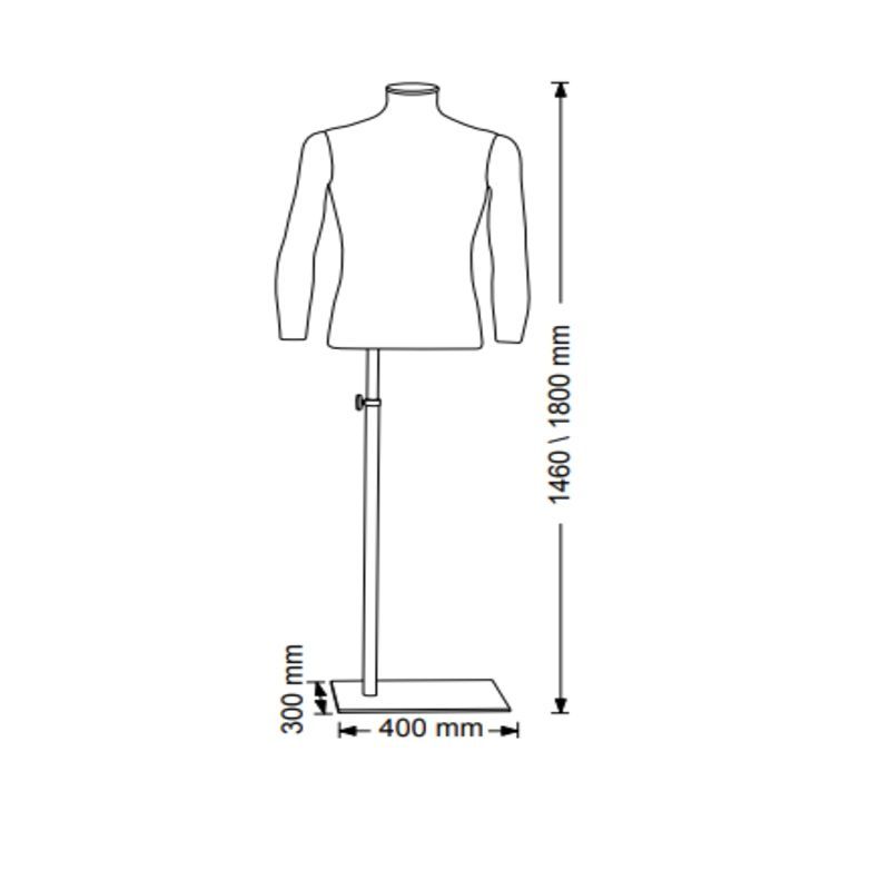 Image 1 : Torso male mannequin in eco ...