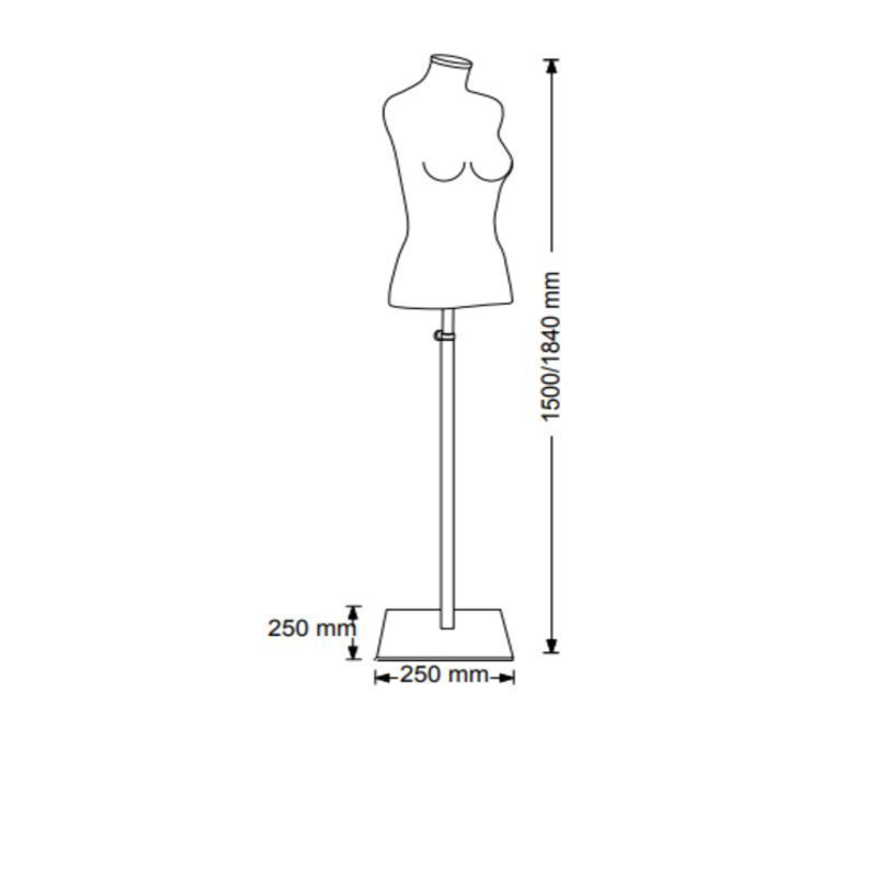 Image 1 : Torsi 3/4 Damen aus ...