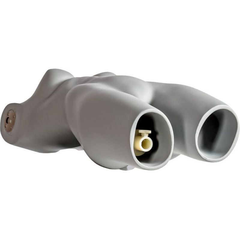 Image 4 : Pecho de torso deportivo para ...