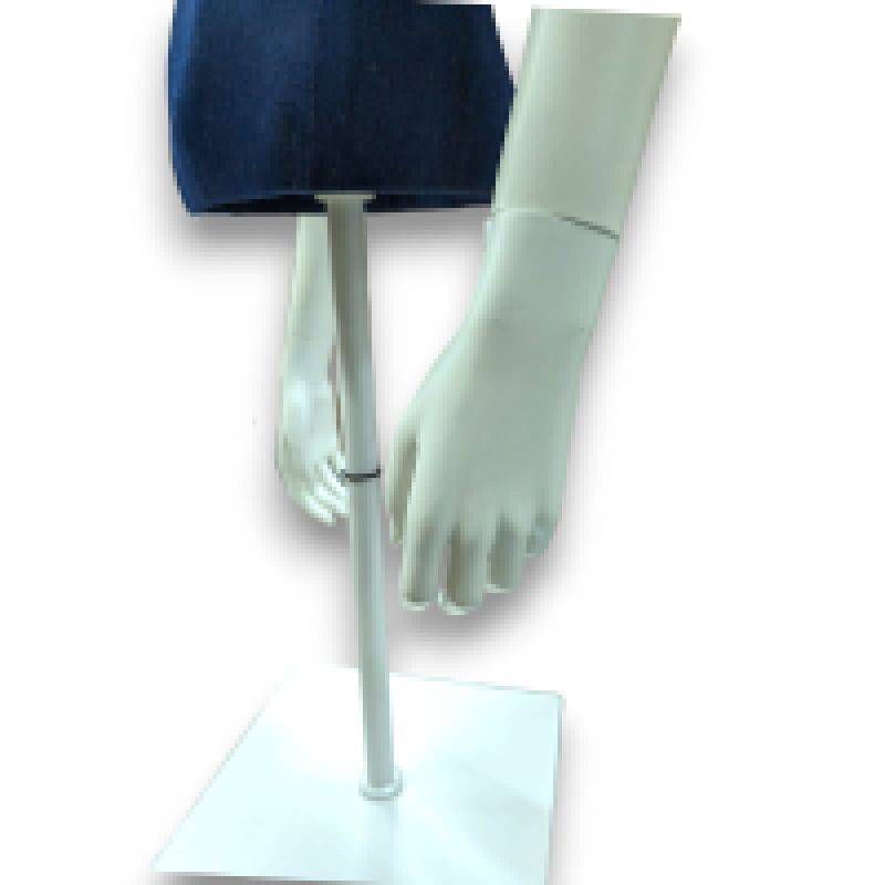 Image 3 : Torso Mannequin Femme Bleu - Él ...