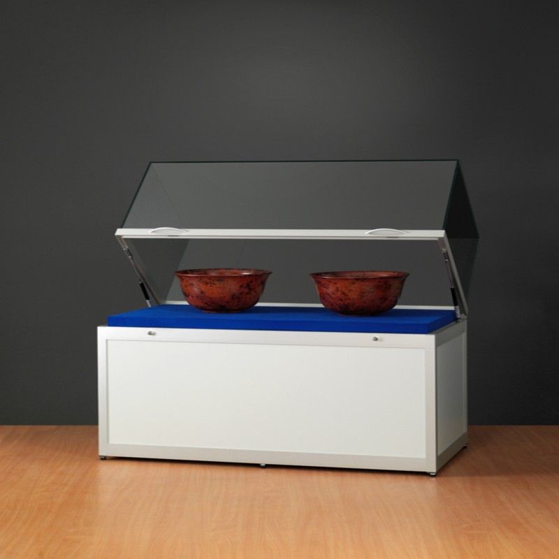 Image 1 : Vitrine argent avce dôme ...
