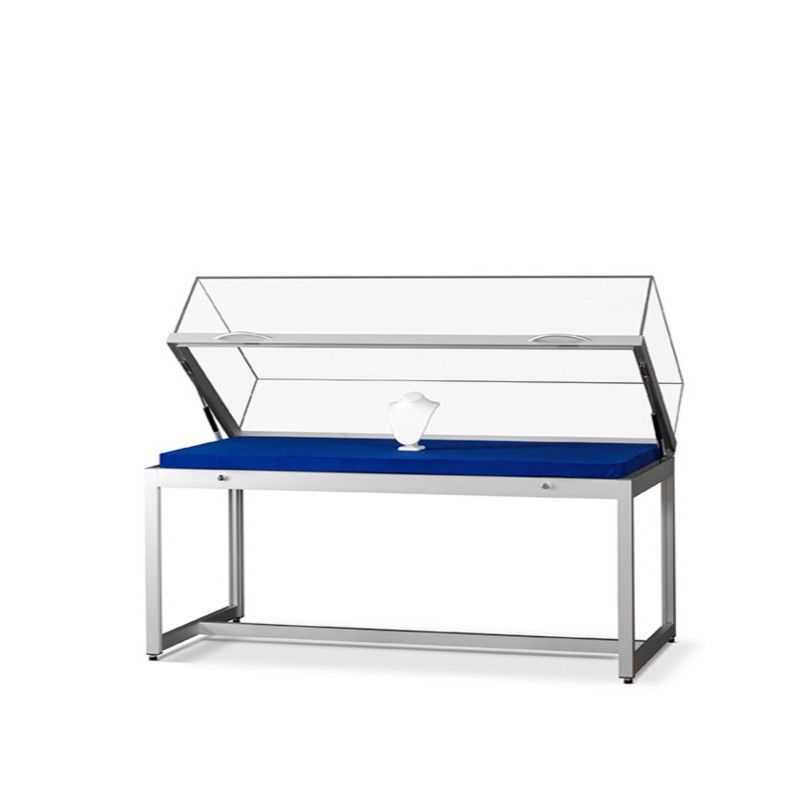 Image 1 : Vitrine argent avec cloche en ...