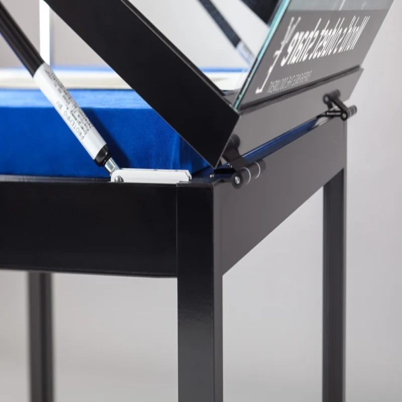 Image 1 : Vitrine noir 120 cm avec ...