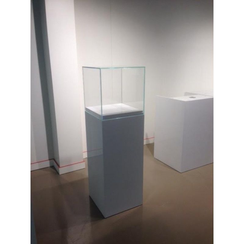 Image 1 : Vitrine d'exposition avec cloche ...