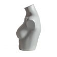 Image 1 : Mezzo busto manichino sportivo da ...