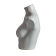 Image 1 : 





Mezzo busto donna Grigio

