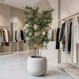 Image 1 : Bring a planty touch to ...