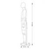 Image 1 : Flexible male mannequin in black ...