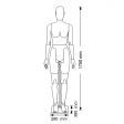 Image 1 : Flexible Female mannequin in black ...